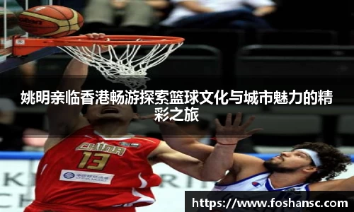JJB竞技宝官网