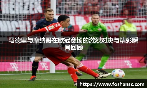 JJB竞技宝官网