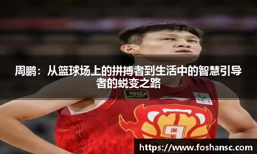 JJB竞技宝官网